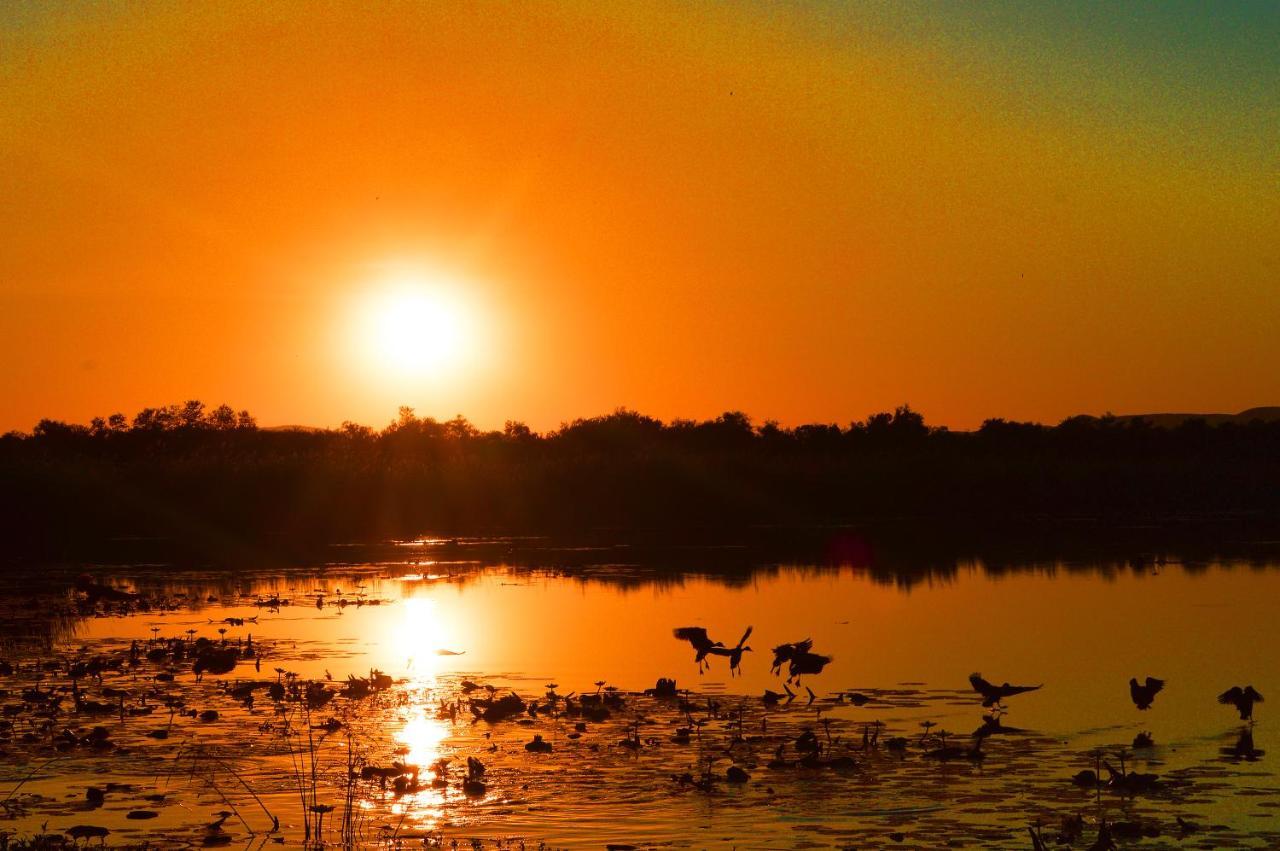 Crocodile Pools River Safaris Gaborone Exterior foto